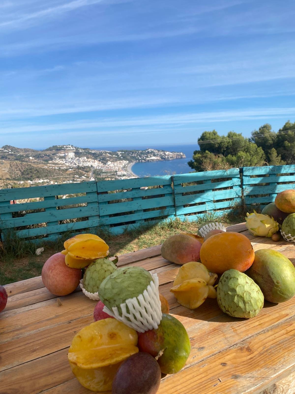 Frutas tropicales de la Costa Tropical de Granada